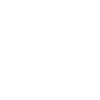 Fb